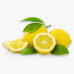 LEMON INDIA SMALL ليمون هندي صغير