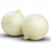 ONION WHITE KGS