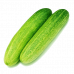 CUCUMBER BANGLA