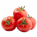 TOMATO INDIA