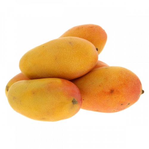 MANGO YEMEN KG مانجو اليمن