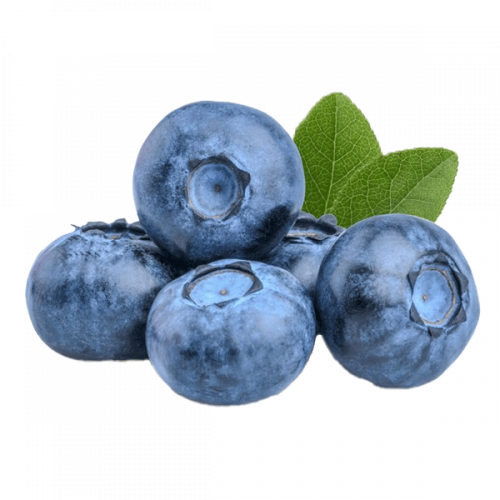 BLUEBERRY HOLLAND